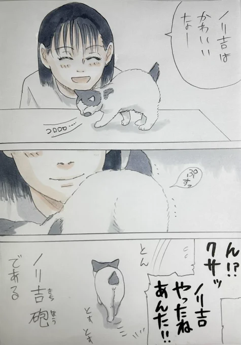 まいにちノリ吉 