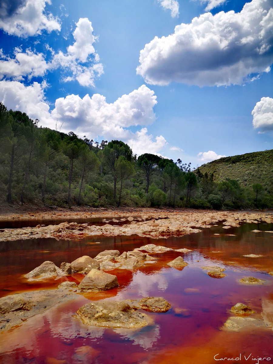 CaracolViajeroO's tweet photo. 🚙Ruta de 7 días por la provincia de #Huelva. 🌞¿Te apuntas a descubrir lugares tan maravillosos como Doñana, la sierra de Aracena o Moguer? 🗺️Toma nota 👀👇
https://t.co/oXJ69YyQpT https://t.co/K369FyU4p9