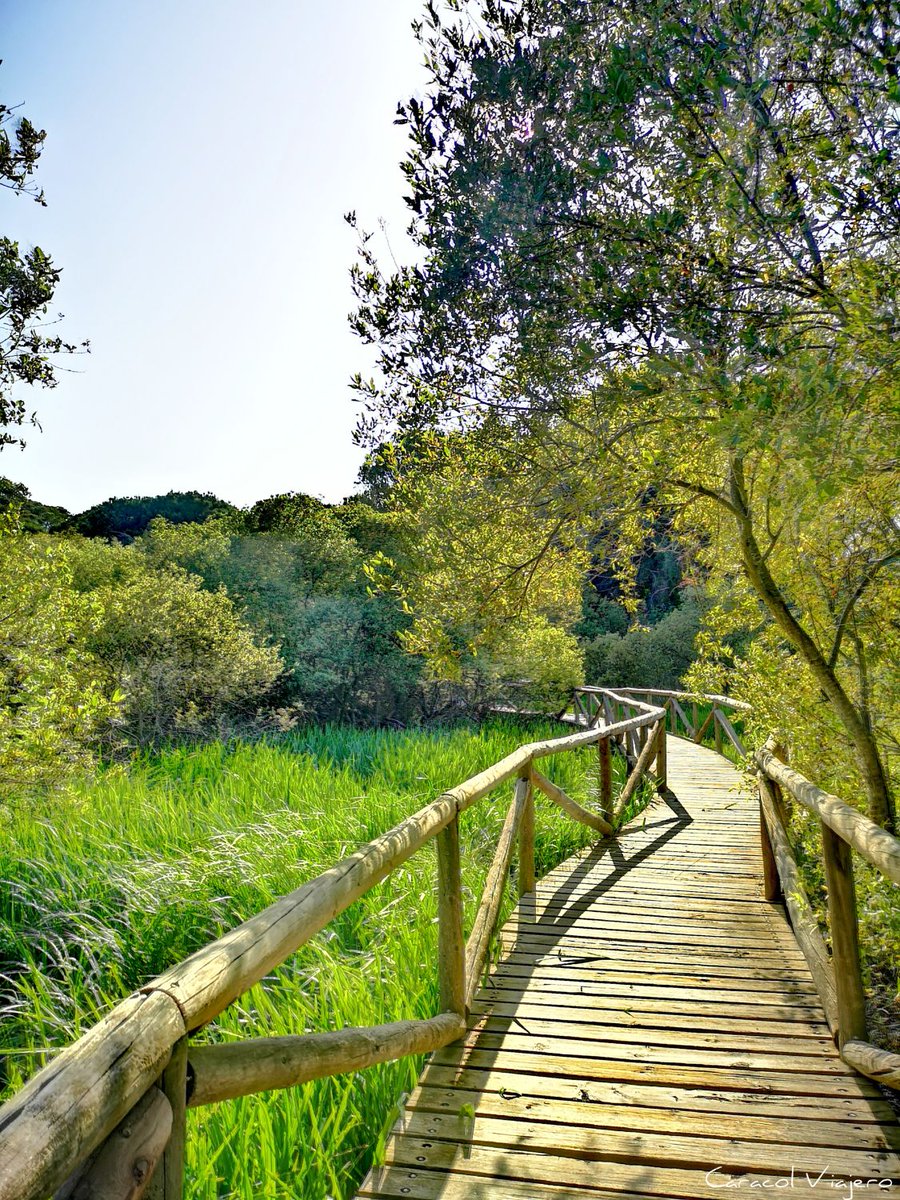 CaracolViajeroO's tweet photo. 🚙Ruta de 7 días por la provincia de #Huelva. 🌞¿Te apuntas a descubrir lugares tan maravillosos como Doñana, la sierra de Aracena o Moguer? 🗺️Toma nota 👀👇
https://t.co/oXJ69YyQpT https://t.co/K369FyU4p9