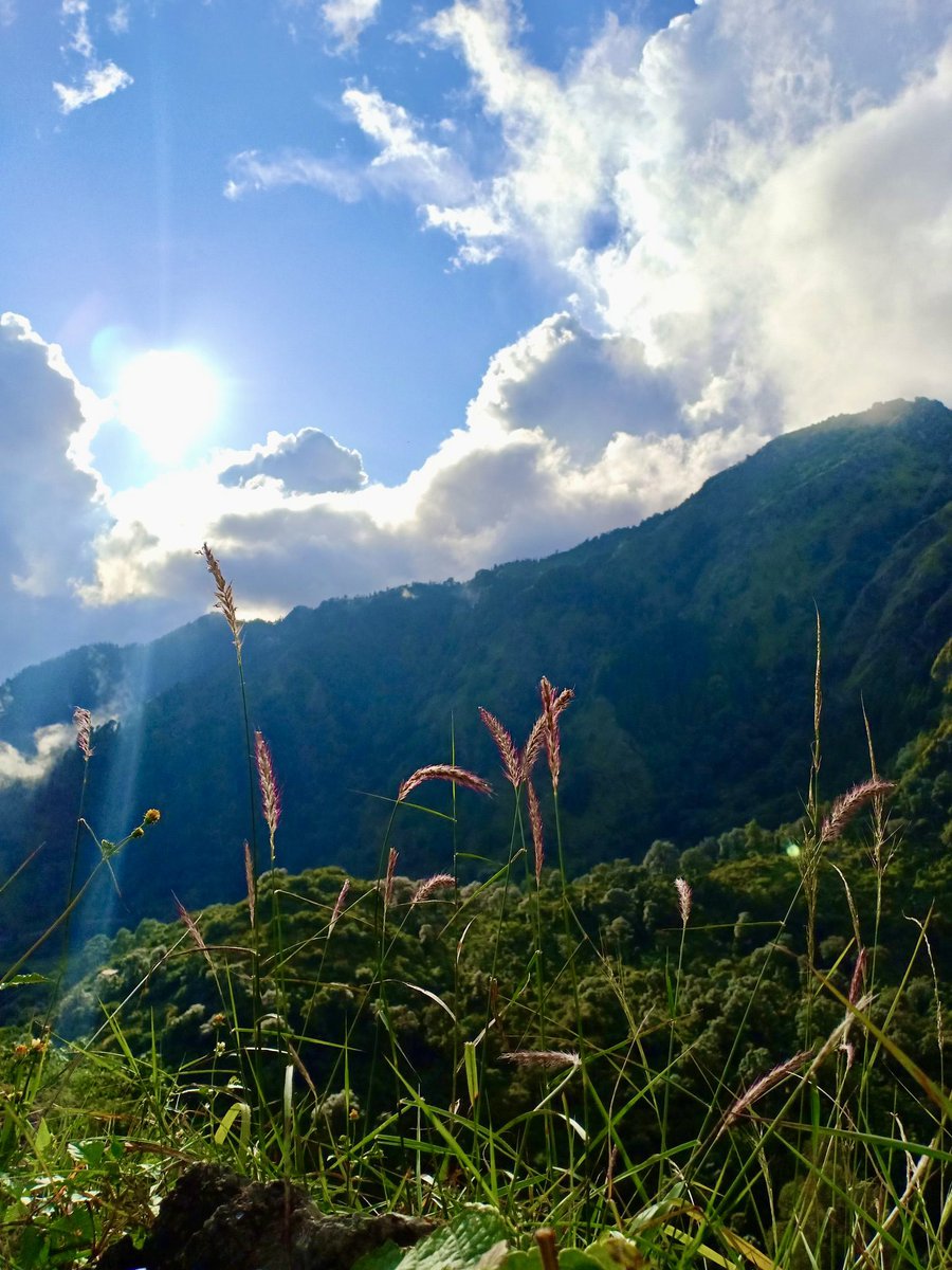 Objects in the picture are more beautiful than they appear. #kausani