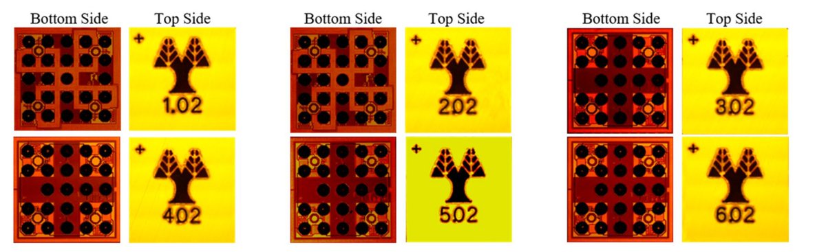 CEAMS Project tweet media