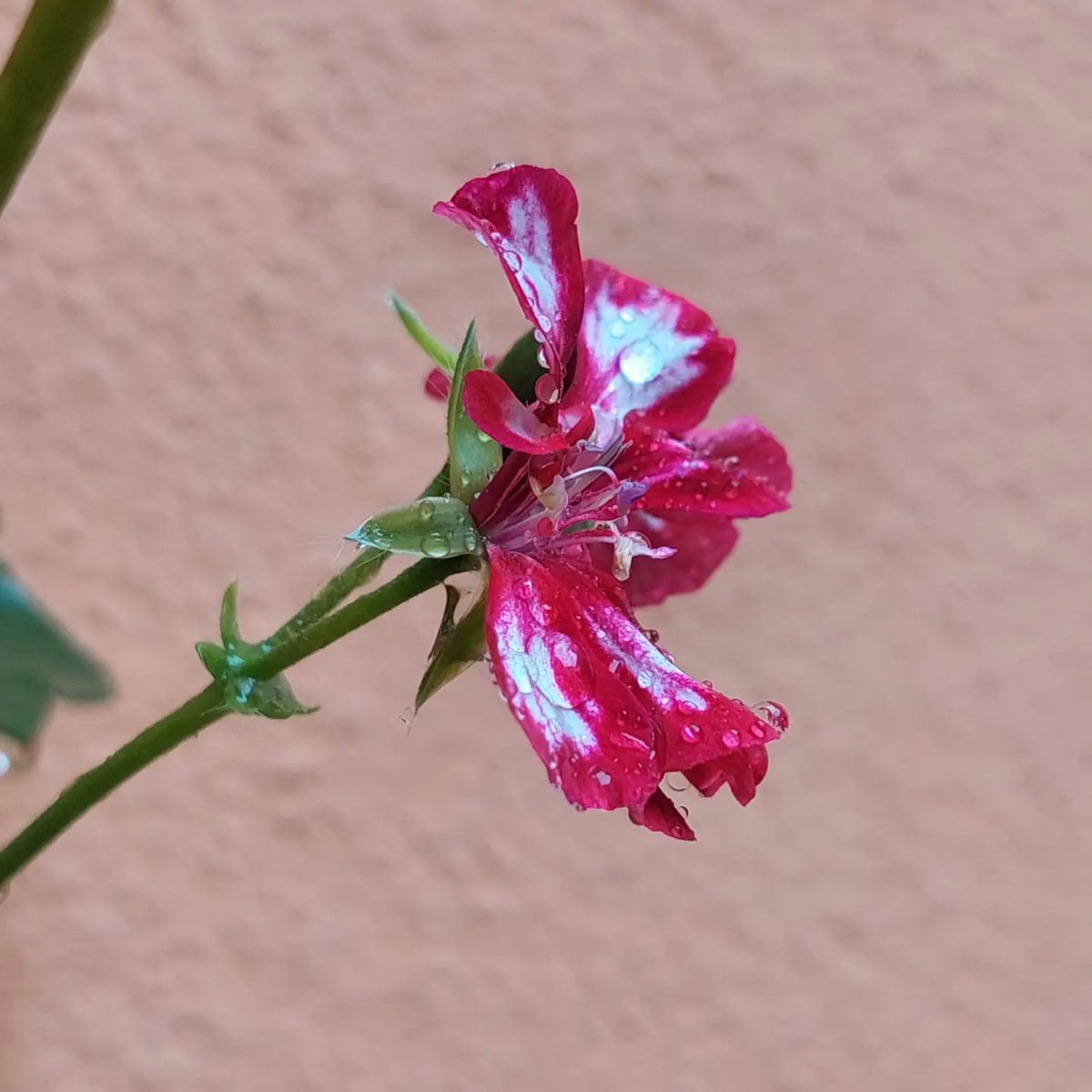 ureeebaba's tweet image. #JummahMubarak #staybless 
Bachi kuchi awaam