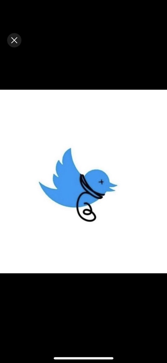 Elon Musk will send you all to court for fraud. Why will you wait for him to buy twitter and now you are running to thread.😂😂😂😂

Sika no ahy3 anaaa 😂😂😂