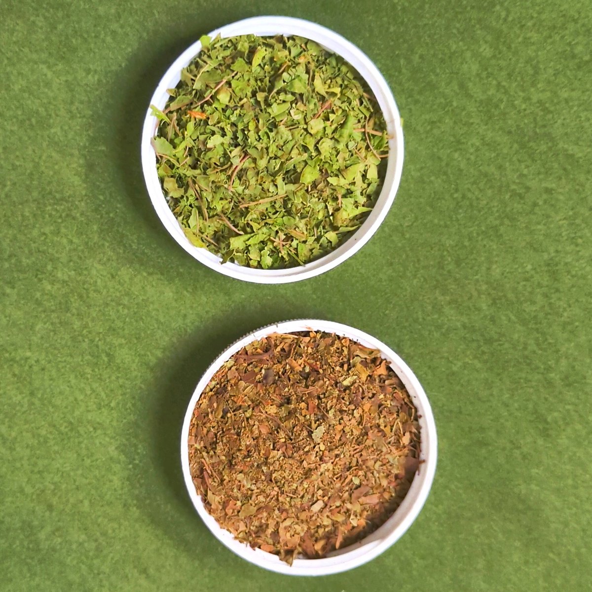 socratickratom's tweet photo. "Something big is brewing at #SocraticSolutionsKratom! 🌱 You know us for the absolute freshest small batch #kratom in existence, but some new EXCLUSIVE products will be arriving soon! Same ownership, exciting new look and feel coming. #mitragynaspeciosa #tampakratom #alkaloids https://t.co/QWpFF8F76y