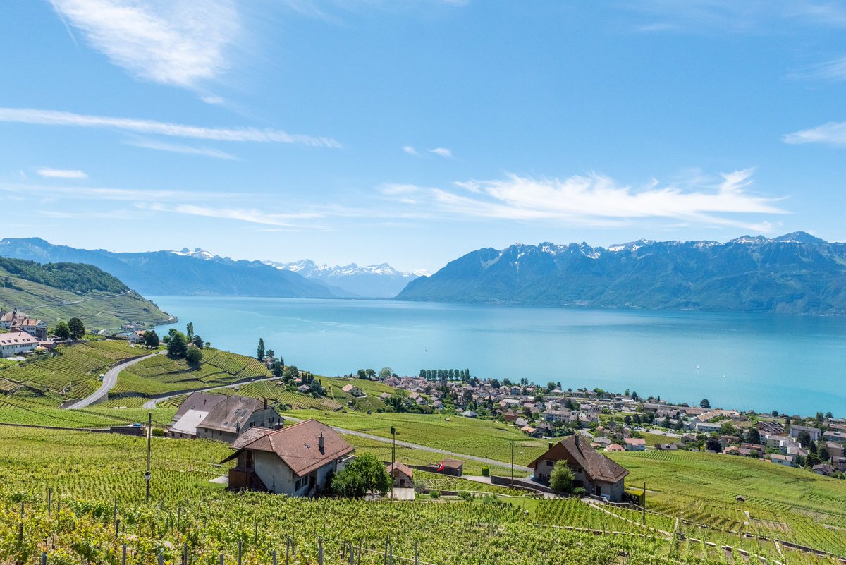 wander_ways_'s tweet photo. 🌟 Mesmerizing Beauty of Lake Geneva 📸

✨ Discover the enchantment of Lake Geneva, a true gem nestled between the Swiss Alps and the French Alps. With its stunning azure waters, picturesque shoreline, and captivating vistas, this destination is a photographer's paradise. 🏞💙 https://t.co/c0biVXST7f