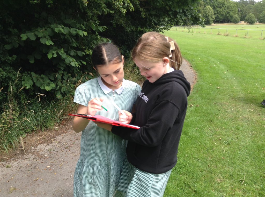 Year 5 tweet media