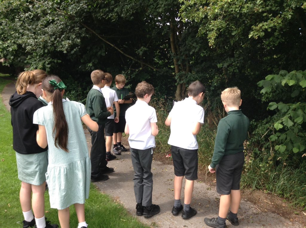 Year 5 tweet media