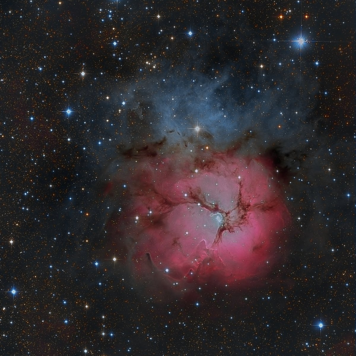 MindTrip tweet media