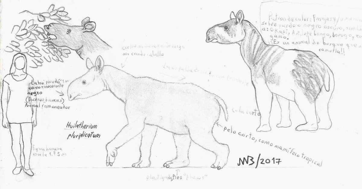 Julián Bayona tweet media