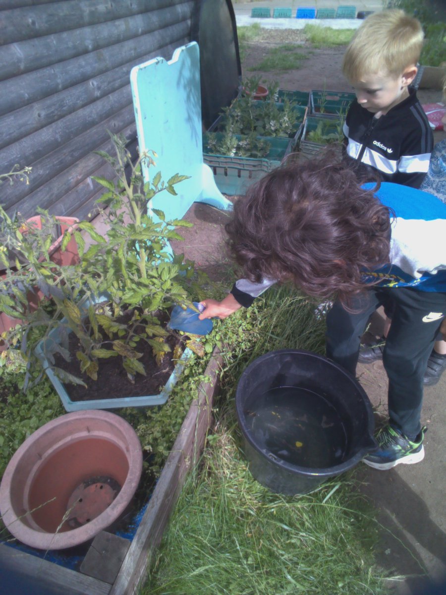 ☀️🌈 The children were very excited to observe tomatoes growing on the plants which we planted in May. We gave them a drink to help them grow even more. They need to grow bigger and turn red before we can eat them.  🍅🍅🍅🍅