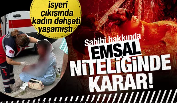 Ataşehir'de kadına saldıran köpeğin sahibi tutuklandı.

#SokakKöpekleriToplatılsın