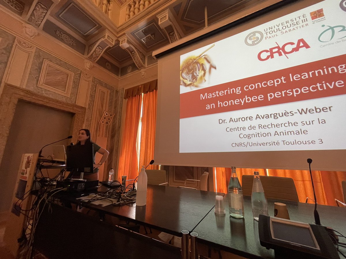 CIMeC UniTrento (@cimec_unitrento) on Twitter photo What’s the buzz? We turn to Aurore Avarguès-Weber, Centre de Recherches sur la Cognition Animale, Université Toulouse 3, France, for an answer in “Mastering concept learning: a honeybee perspective”
#CIMeCevents #CogEvo2023
<a href="/CbiToulouse/">CBI Toulouse</a> <a href="/gVallortigara/">Giorgio Vallortigara</a> <a href="/beMaryB/">Maria Bortot</a> <a href="/ElisaFrasnelli/">Elisa Frasnelli</a> What’s the buzz? We turn to Aurore Avarguès-Weber, Centre de Recherches sur la Cognition Animale, Université Toulouse 3, France, for an answer in “Mastering concept learning: a honeybee perspective”
#CIMeCevents #CogEvo2023
<a href="/CbiToulouse/">CBI Toulouse</a> <a href="/gVallortigara/">Giorgio Vallortigara</a> <a href="/beMaryB/">Maria Bortot</a> <a href="/ElisaFrasnelli/">Elisa Frasnelli</a>