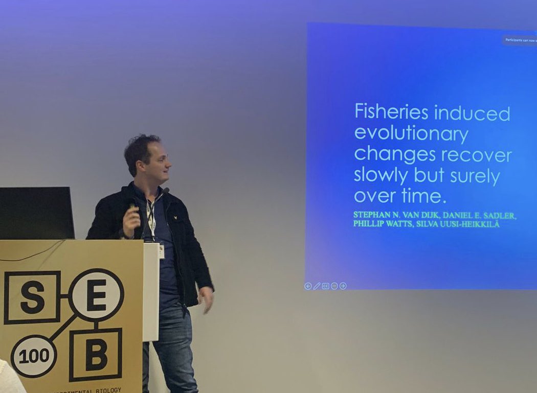 Silva Uusi-Heikkilä tweet media