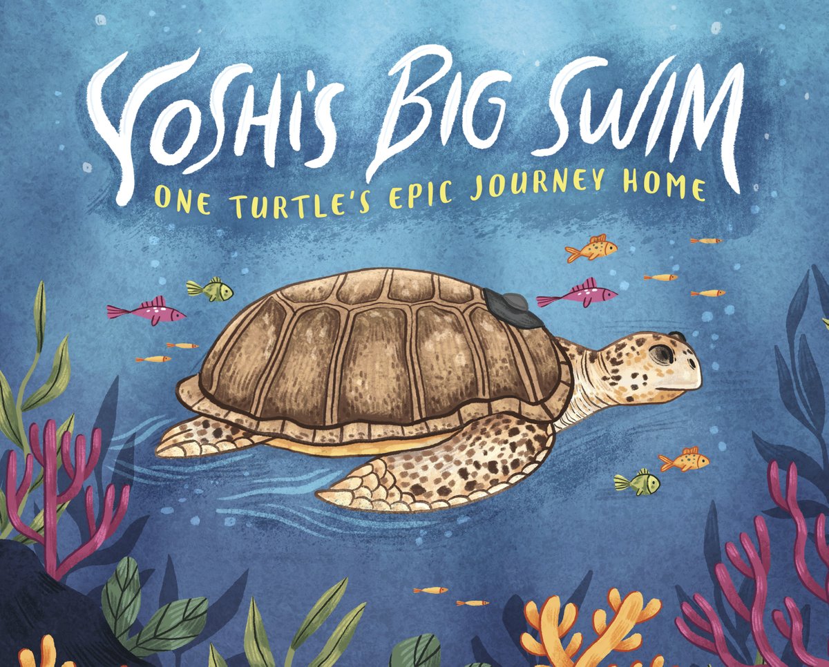 The amazing true story of Yoshi the loggerhead turtle. Follow her story through our NEW, beautifully-illustrated picture book as she is rescued, rehabilitated and, eventually, returned to the wild. A gorgeous story to inspire children and teach them about conservation.