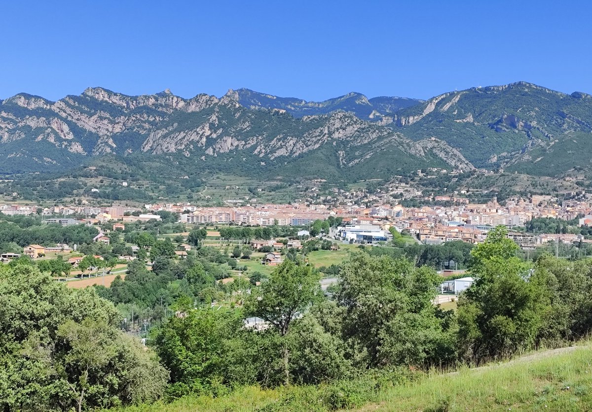 Boni {100CC} 🇵🇸 tweet media