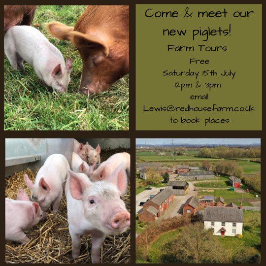 redhousefarm's tweet photo. Red House Farm would like to invite you down for a tour around our organic farm. Lewis will lead the group, taking in our traditional orchard, sheep and lambs, field crops, chickens, veg growing, pigs and, most excitingly, our new born piglets. https://t.co/C0RWPrluOq