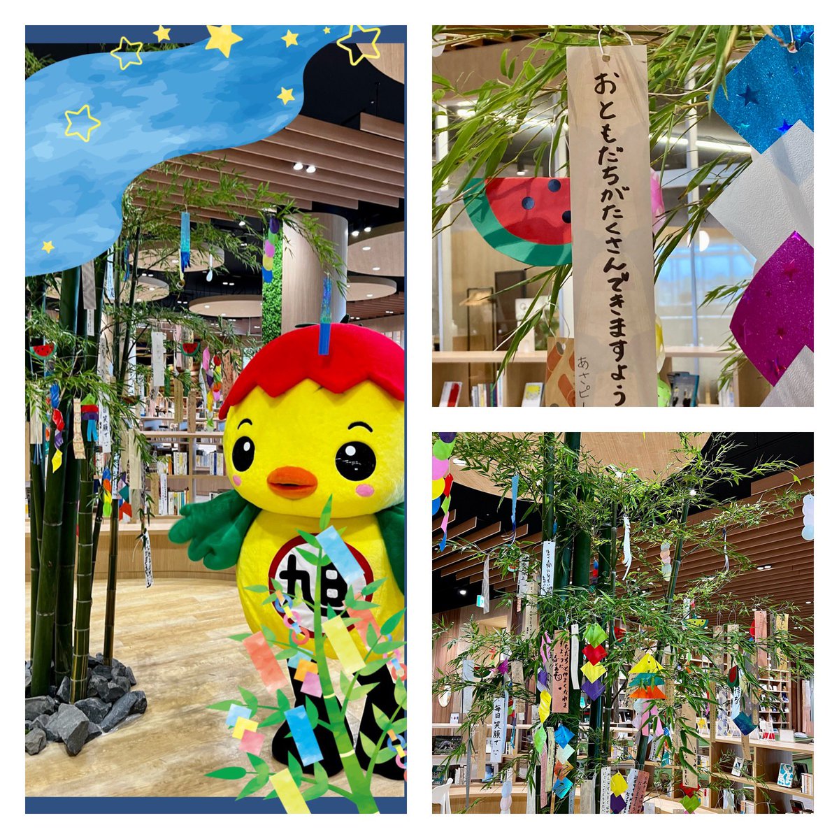 やっほー　みんな！

今日は七夕だよ🎋
ぼくもおひさまテラスで短冊にお願いごとを書いてきたよ🐣
「おともだちがたくさんできますように」って！

みんなのお願いごとは何かな？

#あさピー
#七夕
#願い事 
#おともだちがたくさんできますように 
#あさピーアール