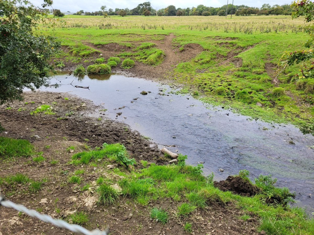 InlandFisherIE's tweet photo. π£ @InlandFisherIE will be carrying out instream habitat restoration works on the Knightsbrook River in #Meath.
Over β¬66,000 in works will take place on 3.5km of the river as part of @InlandFisherIE Habitats & Conservation Fund 2023.
#IFIConservation https://t.co/qSN0QeqquJ