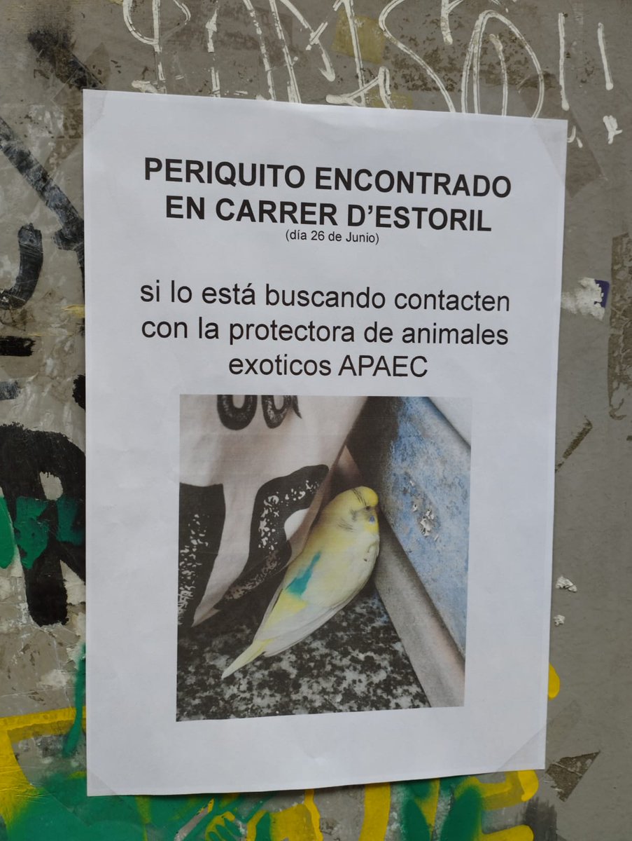 No tot són males noticies al barri d'Horta.