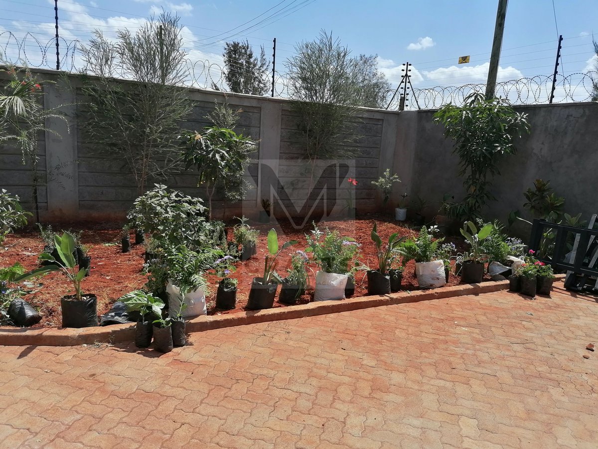 MV_crafts's tweet photo. For all your gardening and landscaping needs..Call us on 0726595809.
Nairobi CBD Thika Road Maandamano Nimrod Mbai Raila Mathare Kasarani #Airtel5G Kisii Kiambu #Sabasabamarchforourlives https://t.co/sFmsumvbgn
