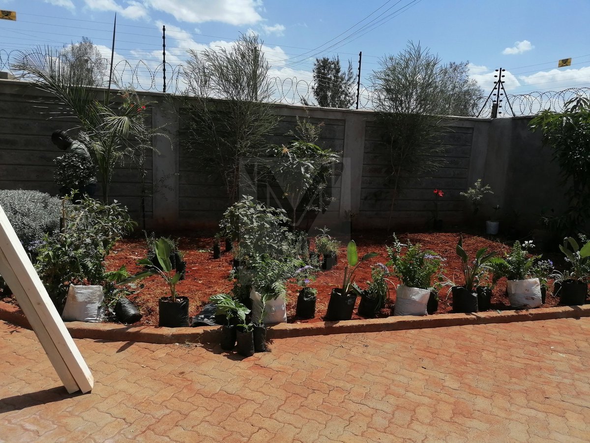 MV_crafts's tweet photo. For all your gardening and landscaping needs..Call us on 0726595809.
Nairobi CBD Thika Road Maandamano Nimrod Mbai Raila Mathare Kasarani #Airtel5G Kisii Kiambu #Sabasabamarchforourlives https://t.co/sFmsumvbgn