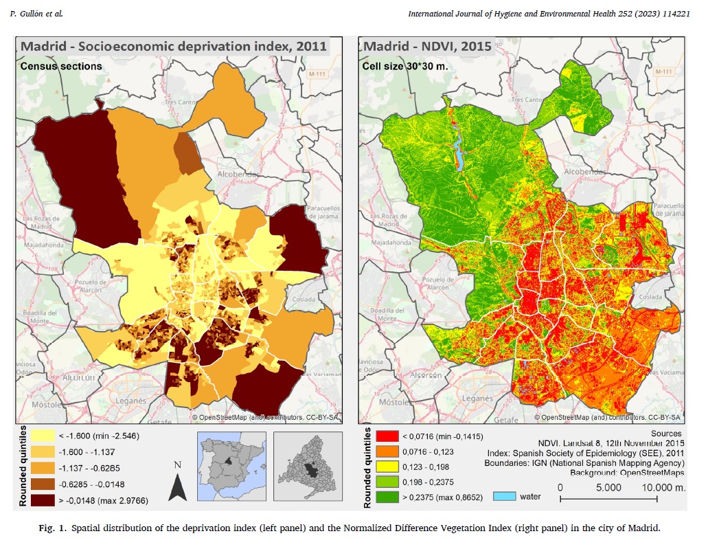 JuliaDiez91's tweet photo. Who benefits from green spaces? Is there an association between surrounding greenness and incidence of CVD in Madrid? 👇
https://t.co/CkecC7RQIS https://t.co/vxBGZVof9t
