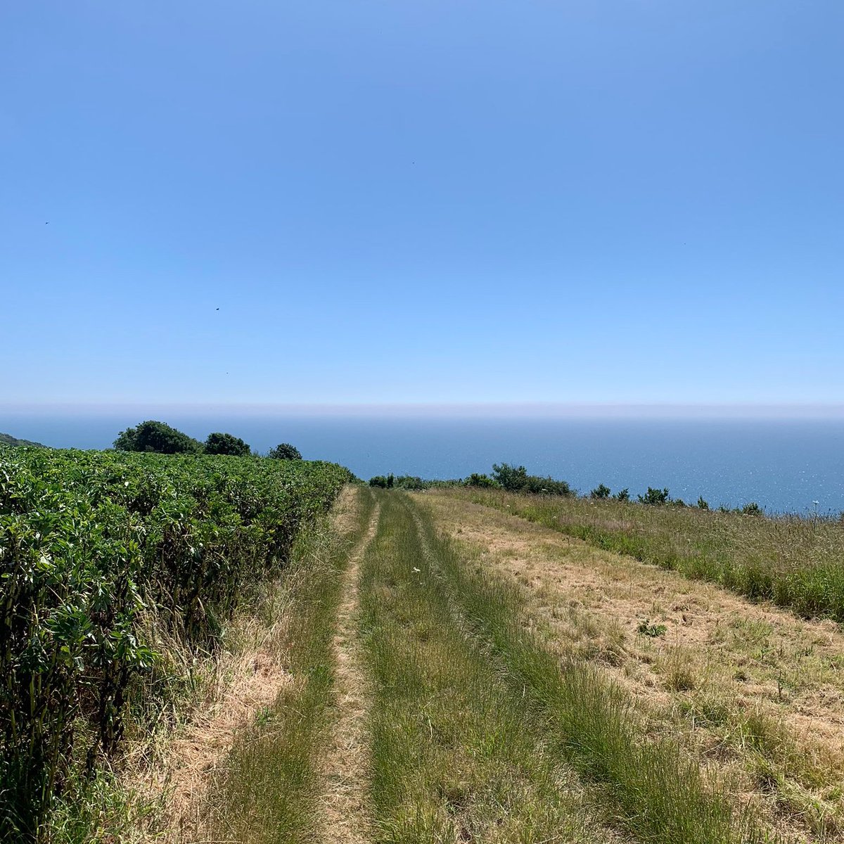 Stride Treglown (@stridetreglown) on Twitter photo You did it! Thank you to everyone who took part in <a href="/WiPUK/">Women in Property</a> #StepIntoSummer23 challenge. In just 2 weeks, 85 teams walked 38,643km and raised £2k for <a href="/womensaid/">Women's Aid</a> and @girlsoutloudorg. Epic!
Same time next year? 😎
Proud sponsors <a href="/StrideTreglown/">Stride Treglown</a> <a href="/burohappold/">Buro Happold</a> #FulkersBaileyRussell You did it! Thank you to everyone who took part in <a href="/WiPUK/">Women in Property</a> #StepIntoSummer23 challenge. In just 2 weeks, 85 teams walked 38,643km and raised £2k for <a href="/womensaid/">Women's Aid</a> and @girlsoutloudorg. Epic!
Same time next year? 😎
Proud sponsors <a href="/StrideTreglown/">Stride Treglown</a> <a href="/burohappold/">Buro Happold</a> #FulkersBaileyRussell