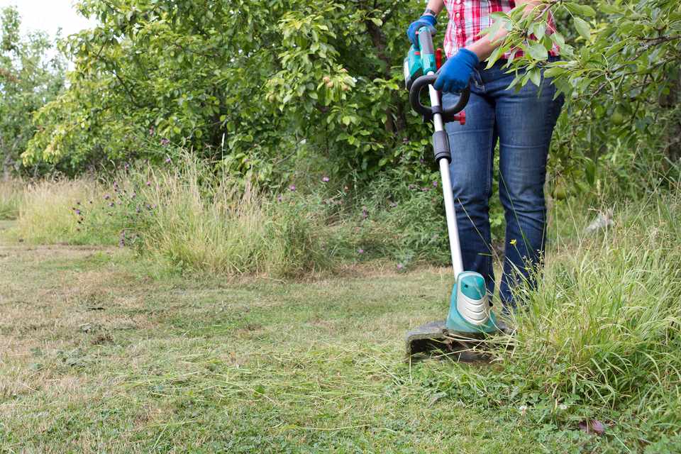 Check out your wildlife gardening jobs for July in this super useful article from Gardeners' World magazine ... ow.ly/TRaj50P4XN0
#WGS #gardenwildlifejobs #gardeningtips #dorset #groundsmaintenance #gardeningjobs #wildlifegardening #Julygardening #wildlifefriendly