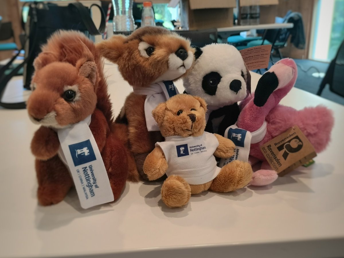 UoNAppEnglish's tweet photo. One of our students has bought a positive menagerie of #BeastsofUoN. They are now our Summer School mascots. https://t.co/zgCEJ0KTIl