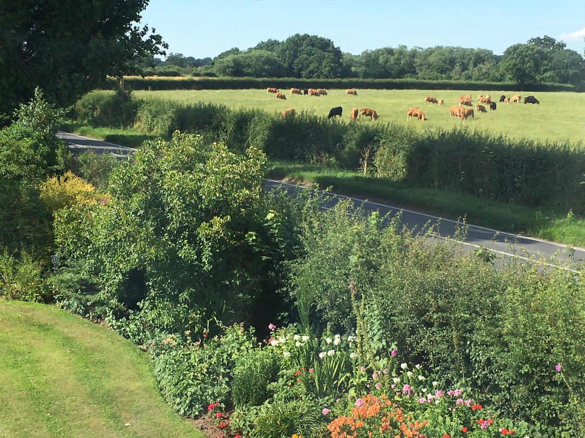 david_hildreth's tweet image. Not a bad office view today