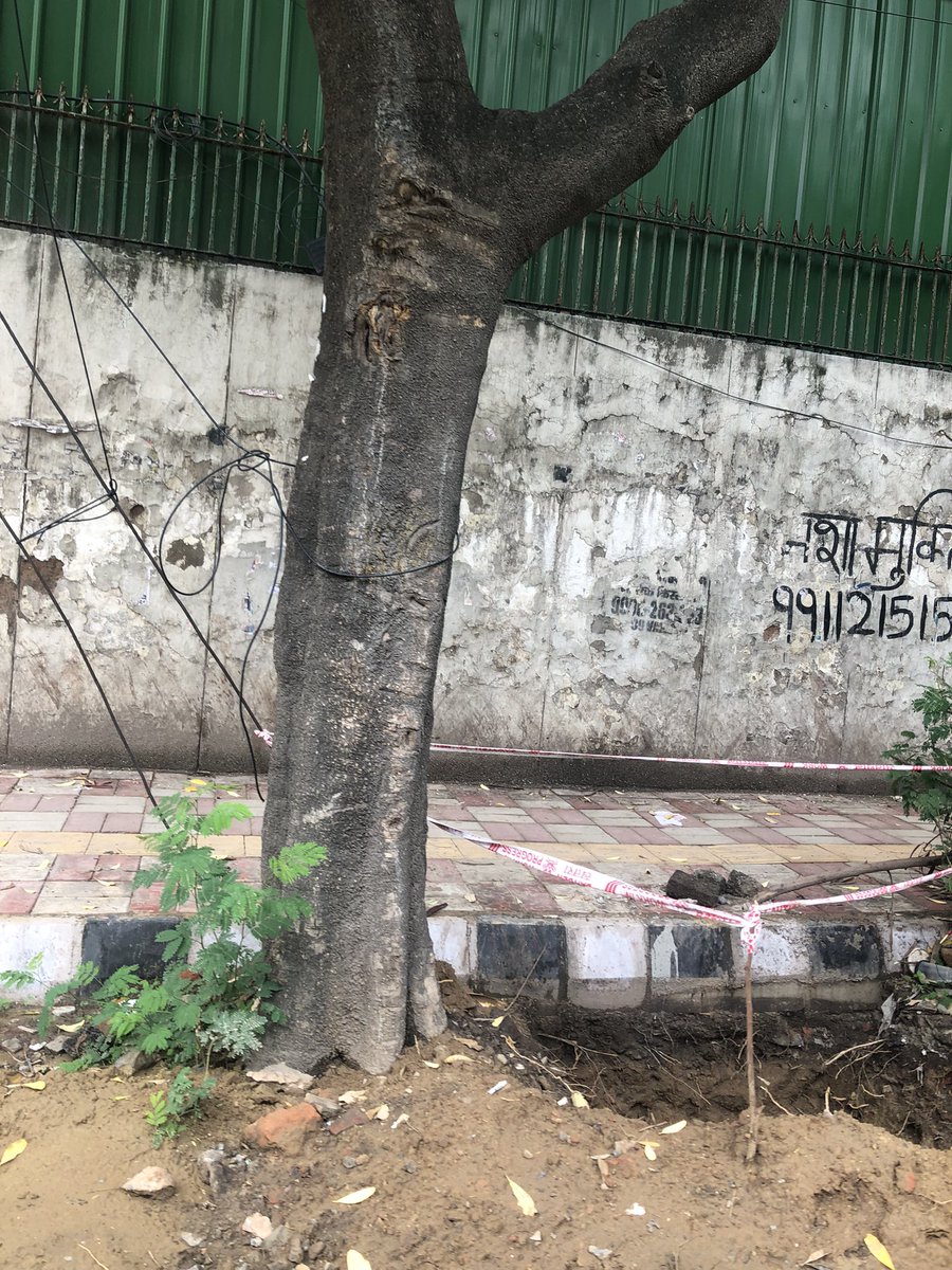 New Delhi Nature Society tweet media