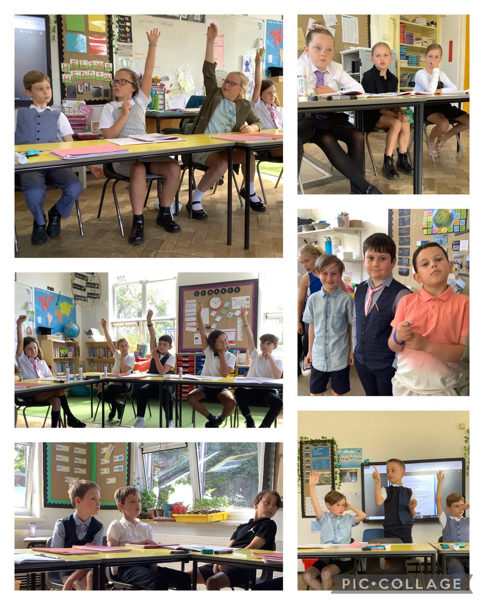 SullyPS's tweet photo. A busy start to our Debate Day in #SPSYear4 answering the question, ‘Should trees be cut down for resources?’ #SPSLLC https://t.co/lfOMBtaJ7S