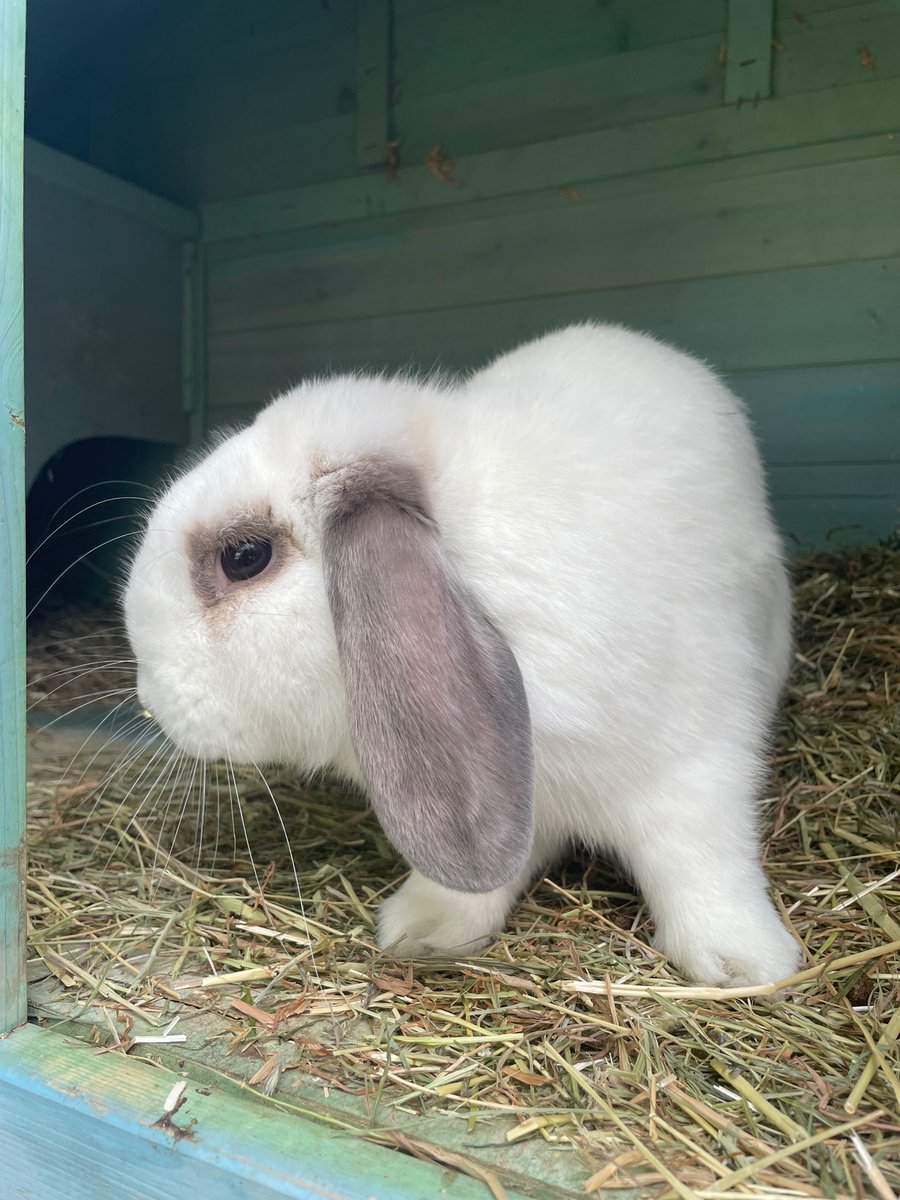 Eastway Primary tweet media