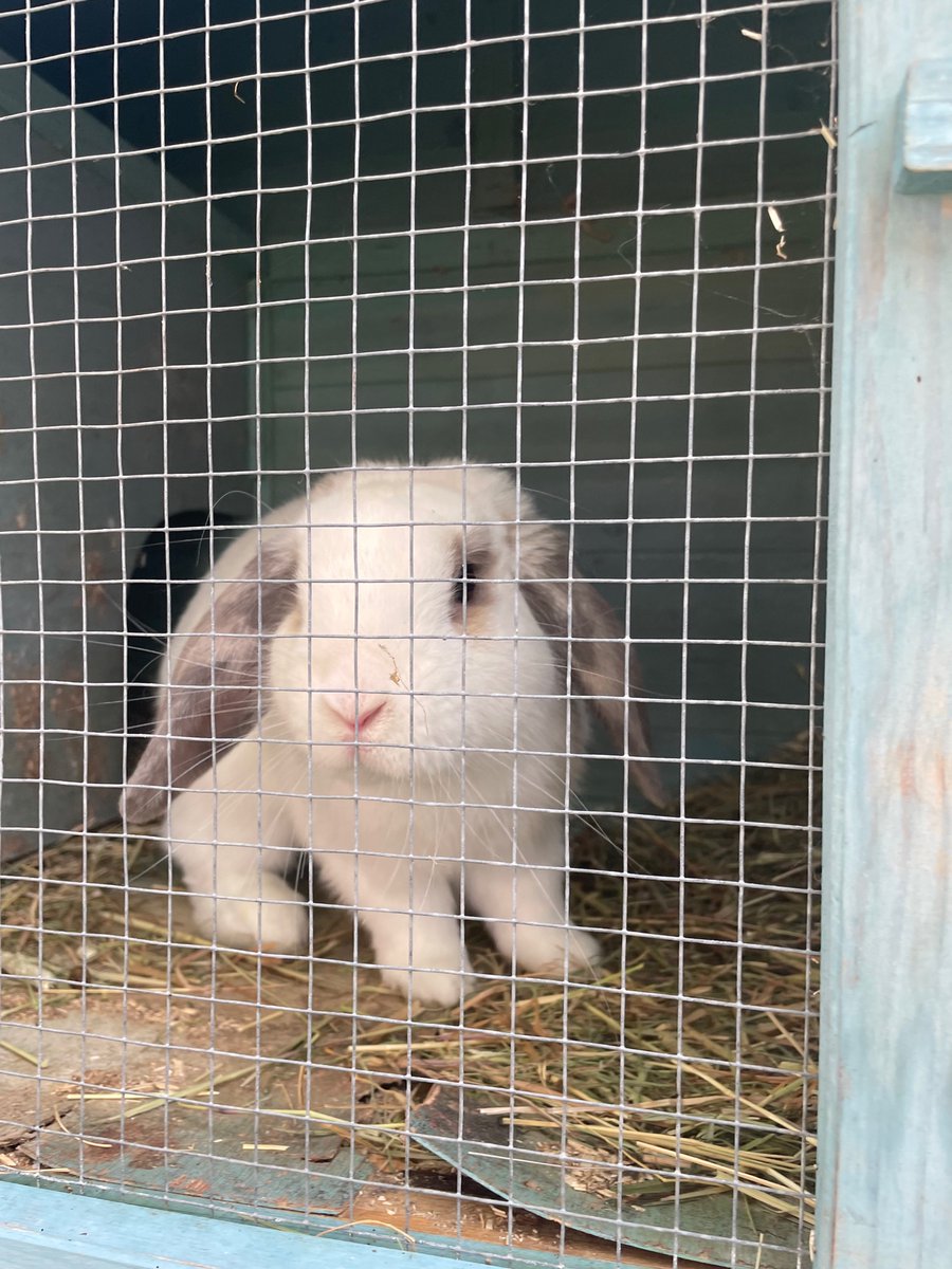 Eastway Primary tweet media