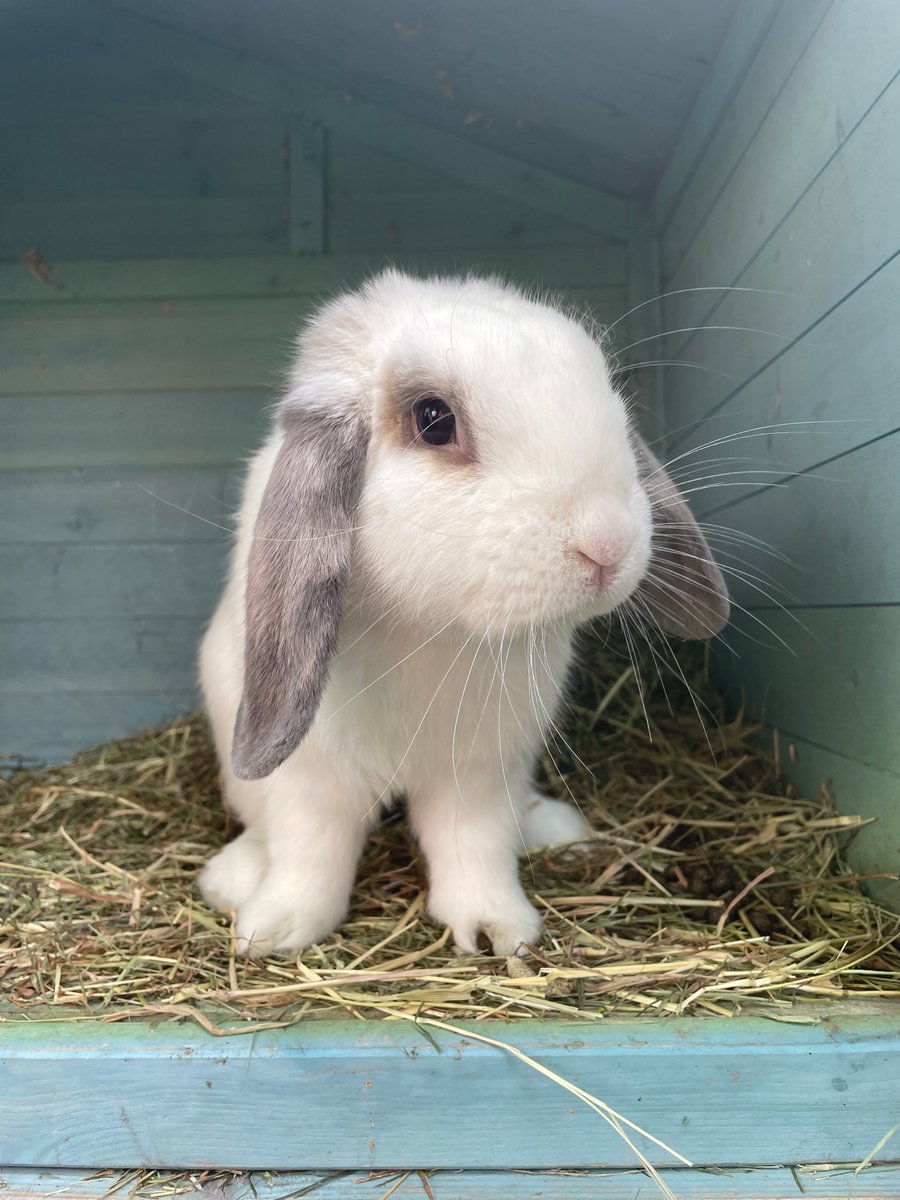 Eastway Primary tweet media