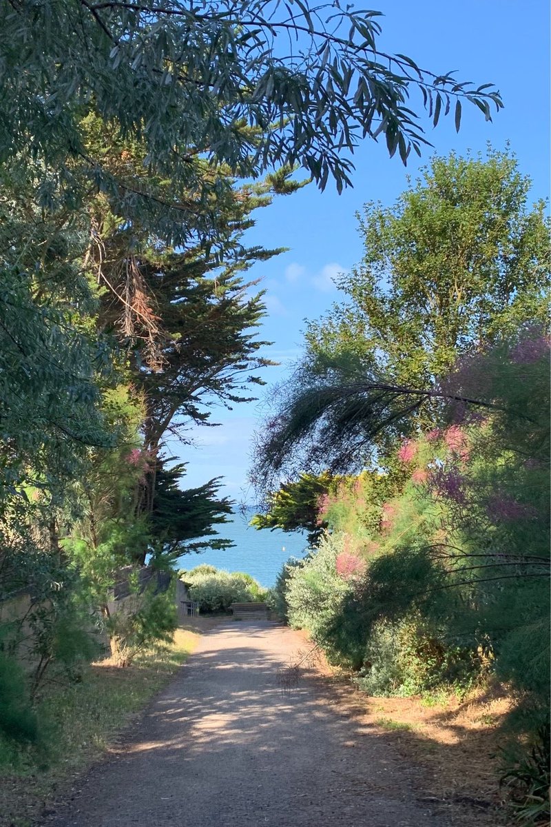 inesaanchez's tweet photo. el paseo hasta la playa https://t.co/UJ783SuGms
