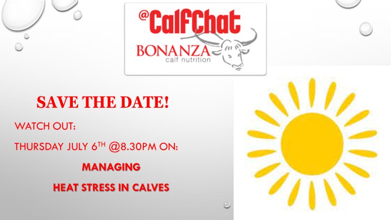 BonanzaCalf's tweet photo. Do you know what to do when things heat up? It's not too late to head over to @CalfChat to take part in the topic! @britishdairying https://t.co/WiXLMbFR8G
