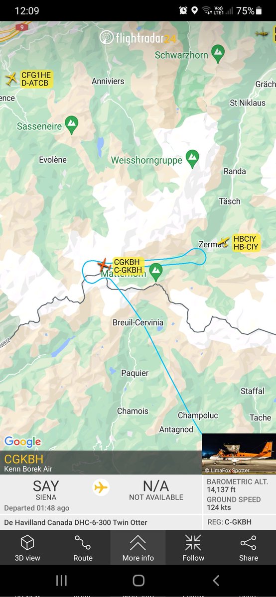 mikewerfeli tweet media