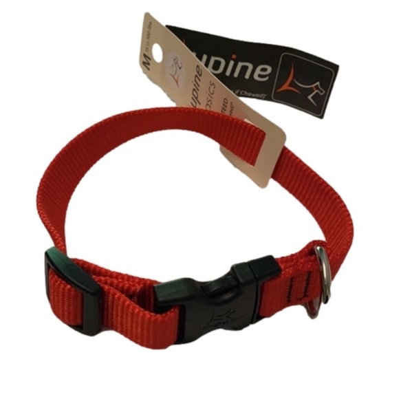 So good I had to share! Check out all the items I'm loving on <a href="/Poshmarkapp/">Poshmark</a> from <a href="/Daniell91404781/">Danielle Clarice</a> #poshmark #fashion #style #shopmycloset #dismember #hm #lupine: posh.mk/m5MxOVGLeBb