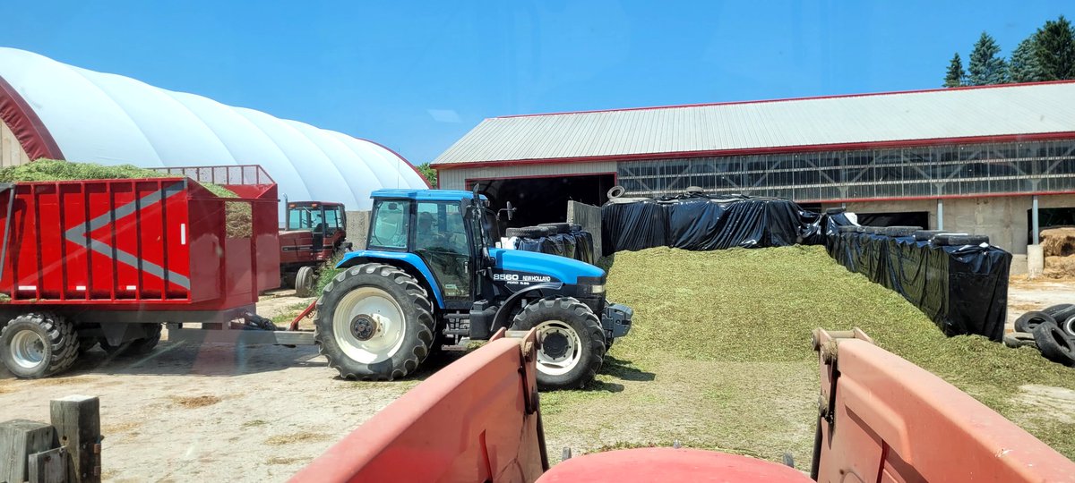 First time putting up haylage on the farm. Have a feeling this is gonna be alot more economical than wrapped bales in the long run. How many lbs/cubic ft do you guys figure for properly packed haylage?