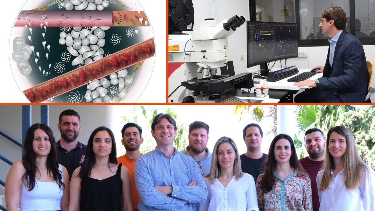 European Research Council (ERC) tweet media