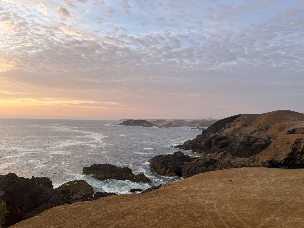 King_Nath1's tweet image. New paper 🚨 as part of an awesome collaboration between 🇬🇧 and 🇵🇪. We characterised bacterial communities associated with the understudied kelp Eisenia cokeri. Loads of structuring at the regional scale and a conserved core 😱. Check it out trebuchet.public.springernature.app/get_content/20….