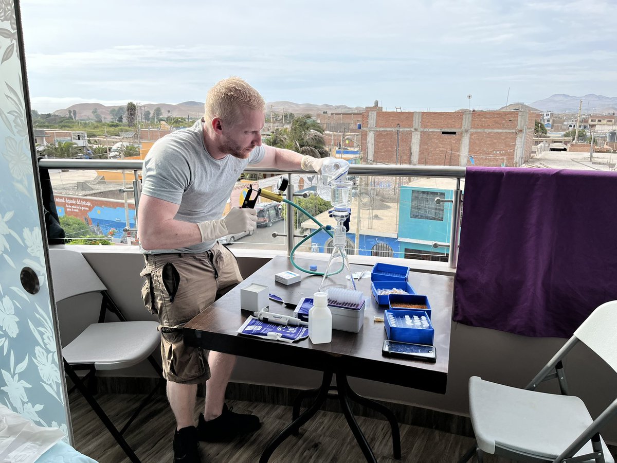 King_Nath1's tweet image. New paper 🚨 as part of an awesome collaboration between 🇬🇧 and 🇵🇪. We characterised bacterial communities associated with the understudied kelp Eisenia cokeri. Loads of structuring at the regional scale and a conserved core 😱. Check it out trebuchet.public.springernature.app/get_content/20….