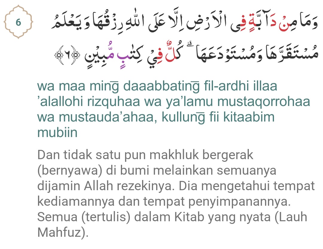 profesor_saham's tweet photo. Aplikasi mungkin bisa dicopy tapi rezeki tidak @elonmusk, setiap manusia sudah Allah tetap rezekinya, mau kerja 24 jam pun rezeki tetap sama yang telah ditetapkan, ia mengetahui segalanya.

Maka beruntunglah orang yang beriman sungguh Allah itu maha pengasih lagi maha penyayang https://t.co/NdyEj4RmNL