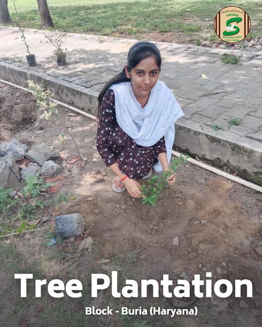 GreenSwelfares's tweet photo. Continuing the legacy of service!  Shah Satnam Ji Green 'S' Welfare Force Wing volunteers from different areas are dedicatedly involved in welfare works like tree plantation🌳, bird🐦 & animal feeding etc. Inspired by the teachings of Saint Dr. @GurmeetRamRahim Singh Ji Insan, they are making a positive difference every day. #ServeHumanity #AnimalWelfare #NurturingBirds #DeraSachaSauda