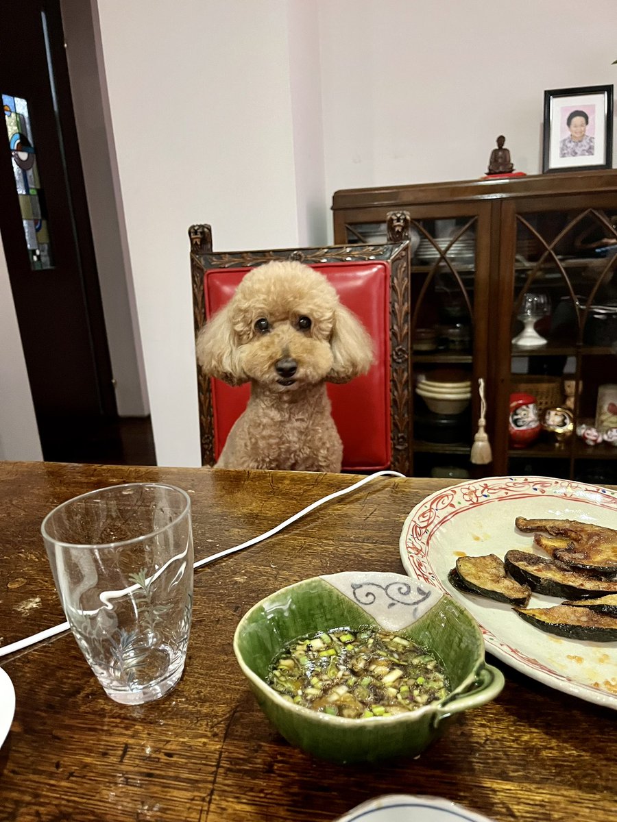 僕は真剣に言っています！の顔。