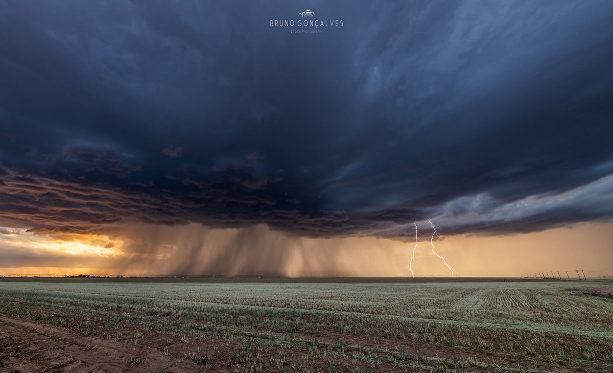 June Weather and Landscape Photography Competition Winner!

June's winner is this stunning capture by Bruno Gonçalves <a href="/ExtremAtmosfera/">Bruno Gonçalves</a> at Lamesa, Texas.
See the best of the rest at ~ bit.ly/3PIkNbN

July's Competition starts next week 
#StormHour #ThePhotoHour
