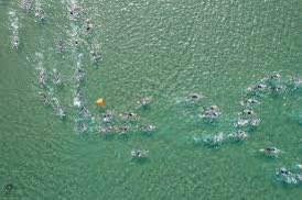 GogTriathlon's tweet photo. Wishing #GOGSpeed to all our athletes competing in the #WelshSuperSeries Round 4 , at the Pembrokeshire Triathlon tomorrow!
Don’t be sh!t 🙌
#triathloncymru #welshtriathlon #GOGSquad https://t.co/loKQZWeNCL