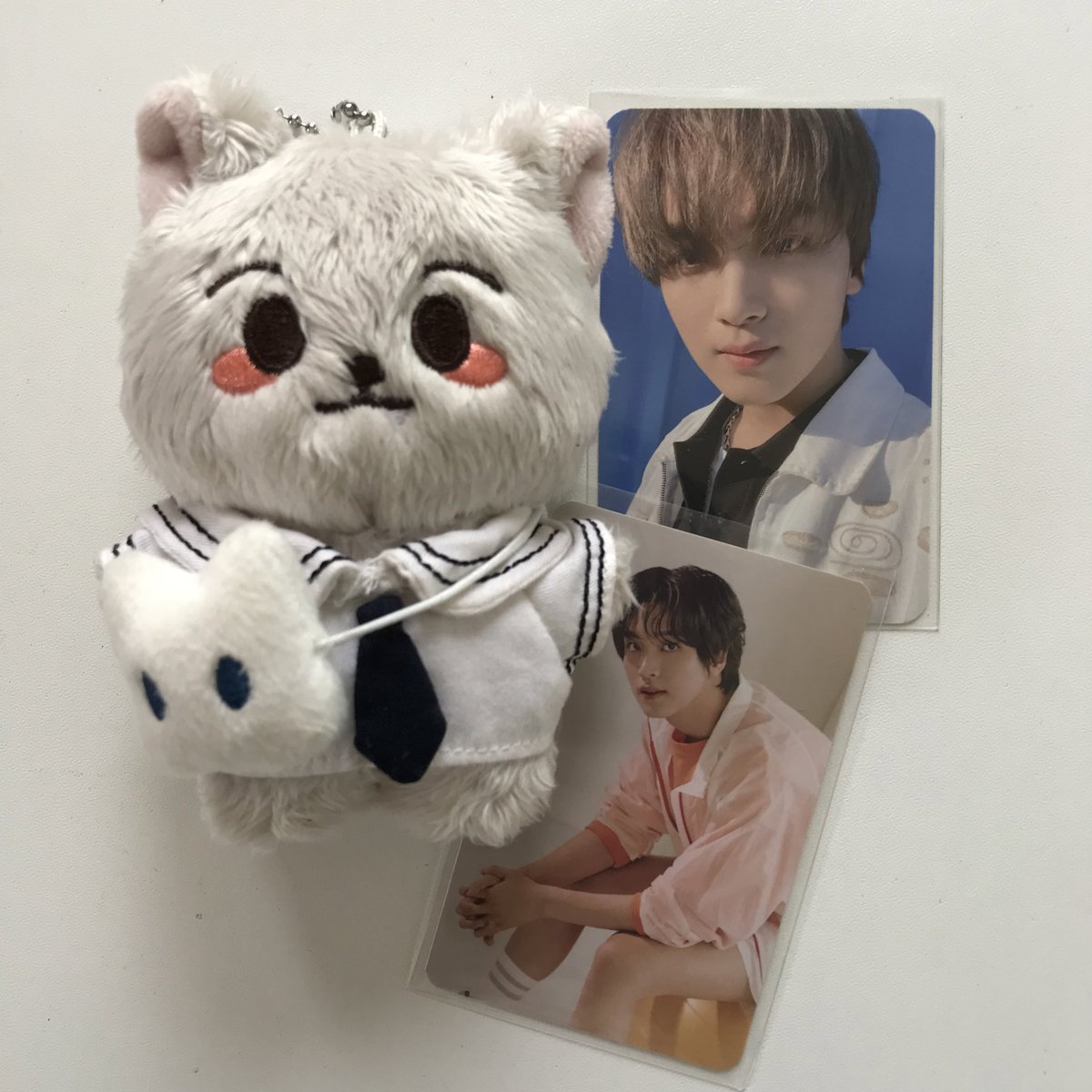sikoloheesta's tweet photo. —riley came home (๑•ᴗ•๑)
hello @formymarklee! litol renmyangie arrived safely. thank you so much for letting me adopt him (along w hyuckie’s pcs) >< rest assured that he will be in a warm and safe home with me 🥺🤍
#mintchocofeedbacks https://t.co/gBJr1g5hx7