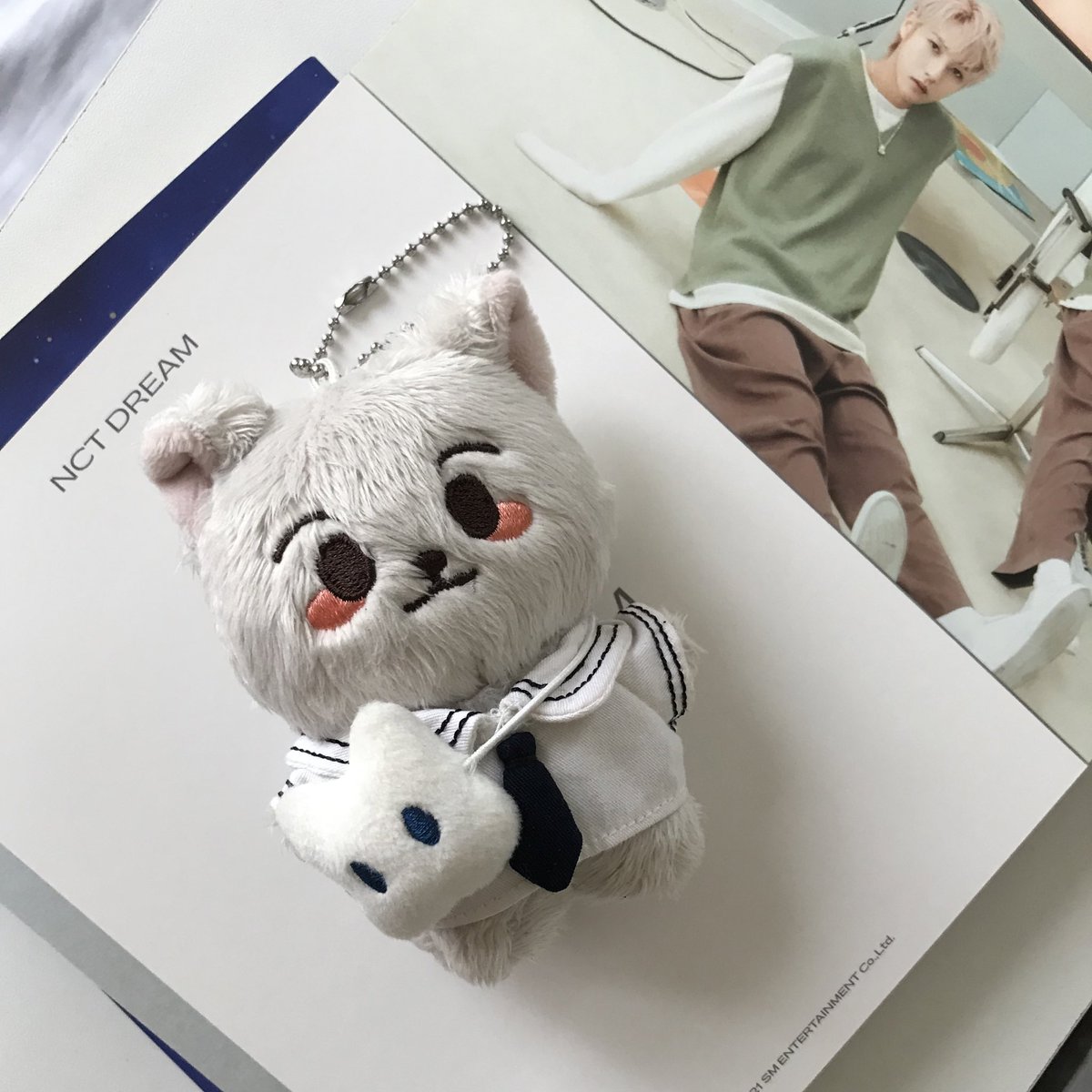 sikoloheesta's tweet photo. —riley came home (๑•ᴗ•๑)
hello @formymarklee! litol renmyangie arrived safely. thank you so much for letting me adopt him (along w hyuckie’s pcs) >< rest assured that he will be in a warm and safe home with me 🥺🤍
#mintchocofeedbacks https://t.co/gBJr1g5hx7